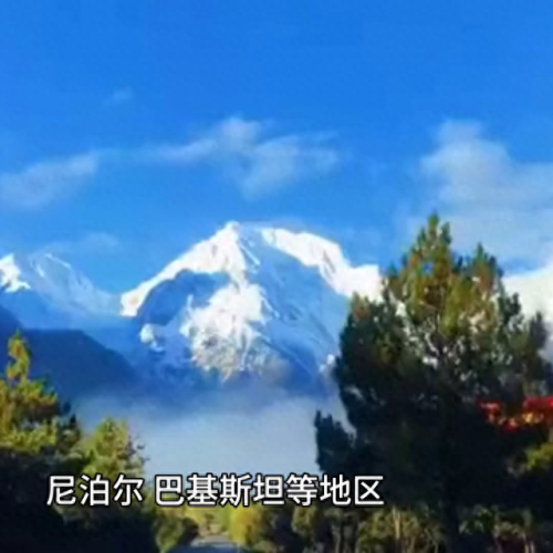 世界十大巨蝎排行榜图片(世界上所有的毒蝎图片)插图