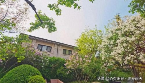 北京市十大独栋别墅排行榜(谷爱凌北京别墅)插图82