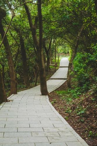 深圳户外徒步十大排行榜(深圳户外徒步群)插图72