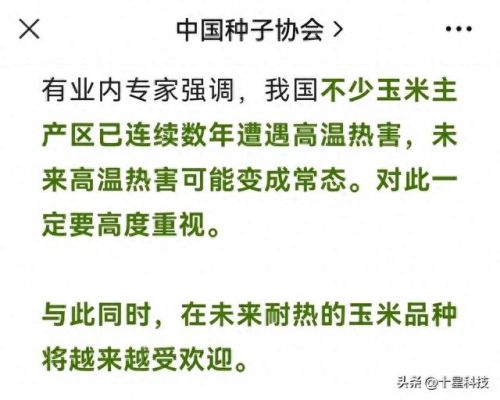 十大品牌玉米种子排行榜(玉米种子十大品牌排行榜图片)插图4 十大品牌玉米种子排行榜(玉米种子十大品牌排行榜图片)插图4