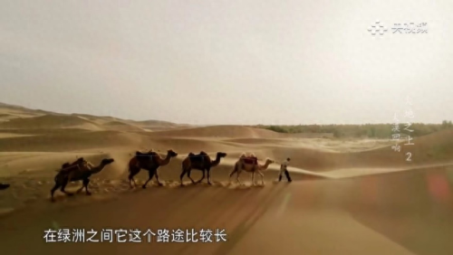 十大排行榜科教类节目(科教频道记忆力节目)插图2