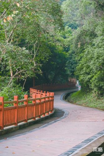 深圳户外徒步十大排行榜(深圳户外徒步群)插图21
