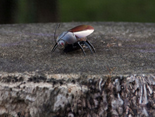 遥控飞机十大排行榜品牌(遥控飞机的app通用吗)