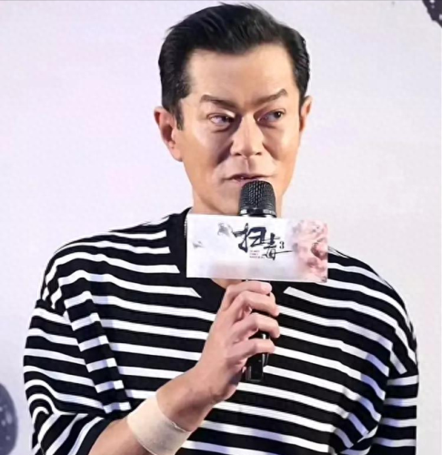 十大成熟男明星排行榜图片(前十位男明星的图片)插图1