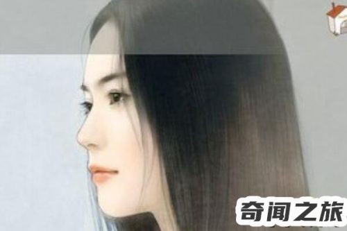 2022年的奇妙之旅(奇妙的探秘之旅)插图1