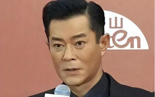 十大成熟男明星排行榜图片(前十位男明星的图片)插图2