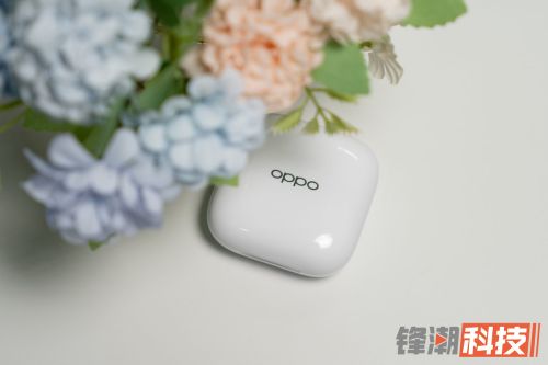 oppoencow51为什么停产(oppoenco w51参数)插图