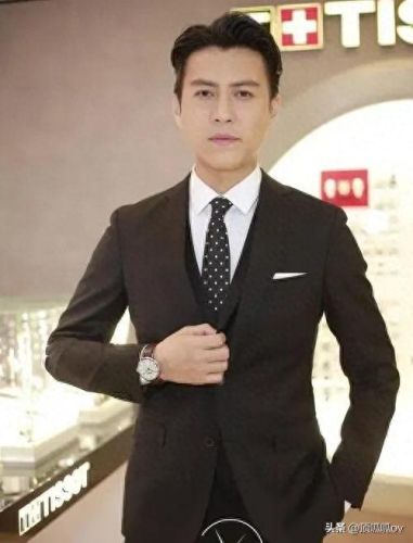 中国的十大明星排行榜(中国最全回族明星名单)插图10