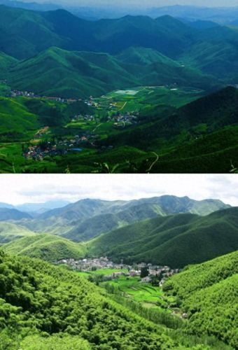 莫干山景点十大排行榜(莫干山必去八个景点)插图5