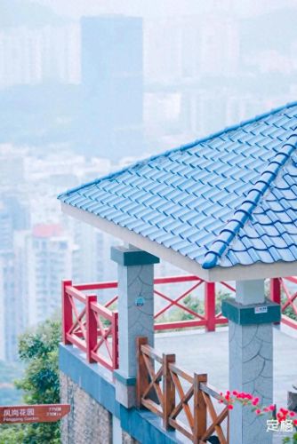 深圳户外徒步十大排行榜(深圳户外徒步群)插图65