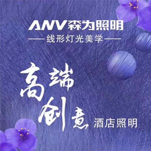 照明灯国产十大品牌排行榜(国产监控十大品牌)插图