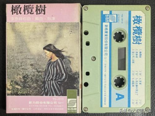 十大优秀中文老歌曲排行榜(经典怀旧歌曲排行)插图41