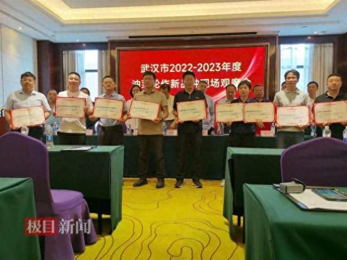 中国十大油菜花排行榜(关于油菜花唯美句子)插图