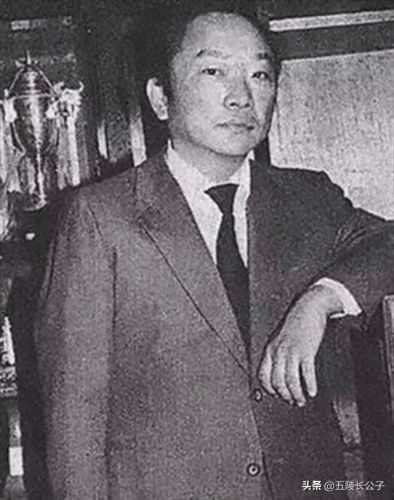 在中国十大武侠小说排行榜(十大顶级武侠小说排行榜)插图13