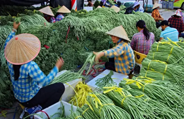 全国十大菜区排行榜图片(全国十大食品排行榜)插图21