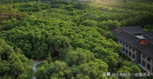 北京市十大独栋别墅排行榜(谷爱凌北京别墅)插图38