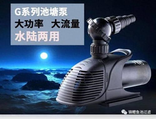 鱼池水泵十大排行榜(鱼池循环水泵十佳品牌)