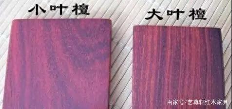 十大红木材质排行榜图(真正的红木原材料)插图9