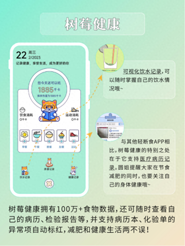 十大减肥app排行榜免费软件(免费减肥软件app排行)