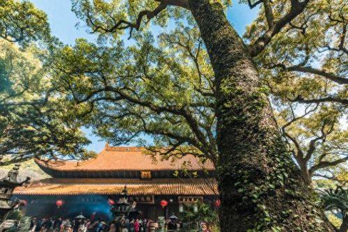 年游客最多十大名山排行榜(十大名岳是哪十座山)插图7