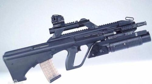 世界十大步枪的照片排行榜(世界上最好的步枪排名)插图4 世界十大步枪的照片排行榜(世界上最好的步枪排名)插图4