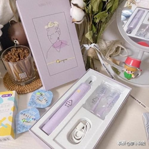 十大品牌电动牙刷架排行榜(电动牙刷最便宜价格)插图5