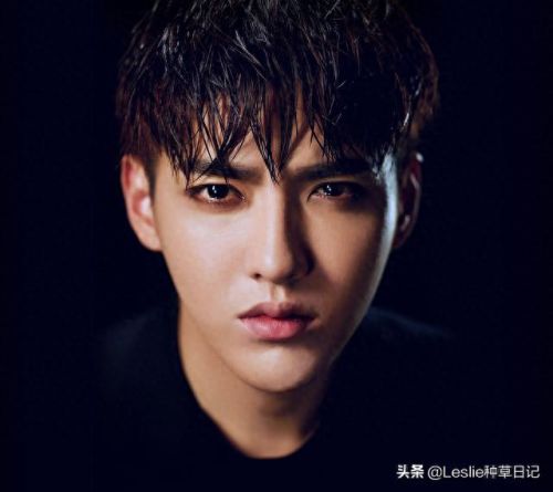 巨蟹座十大男神排行榜(巨蟹座谁最受欢迎)插图6