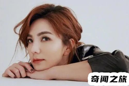 she组合三人哪里人(she组合三人的资料简介)