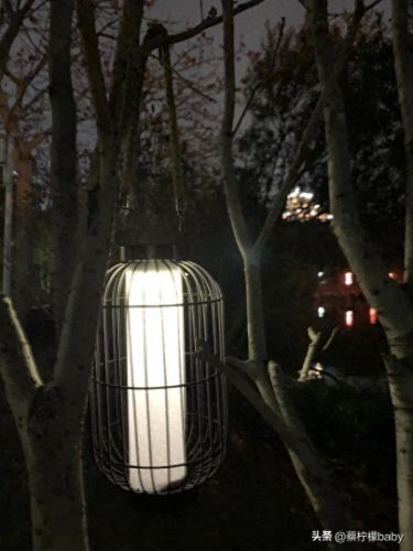 十大太阳能灯具品牌排行榜(中国十大太阳能电池板品牌)