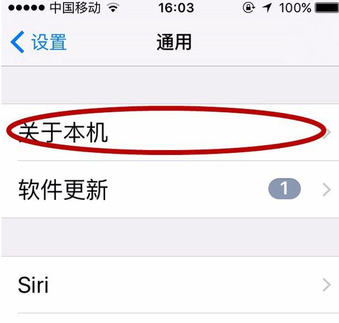 iphone 11如何查看激活时间(iphone11怎样查看激活日期)插图1