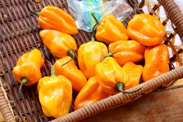 全国十大菜区排行榜图片(全国十大食品排行榜)插图20