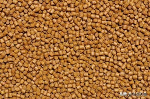 颗粒饵料十大排行榜图片(颗粒饵料排行榜第一名老鬼)插图4 颗粒饵料十大排行榜图片(颗粒饵料排行榜第一名老鬼)插图4