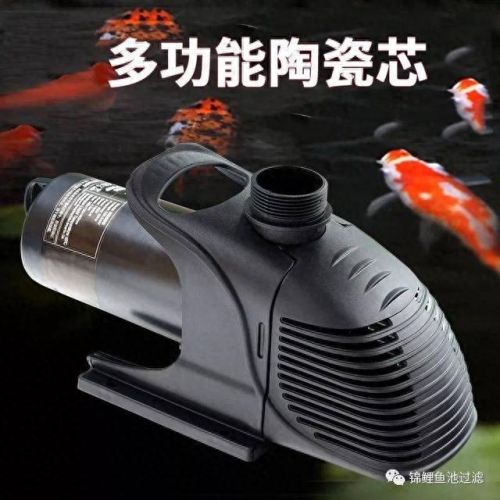 鱼池水泵十大排行榜(鱼池循环水泵十佳品牌)插图