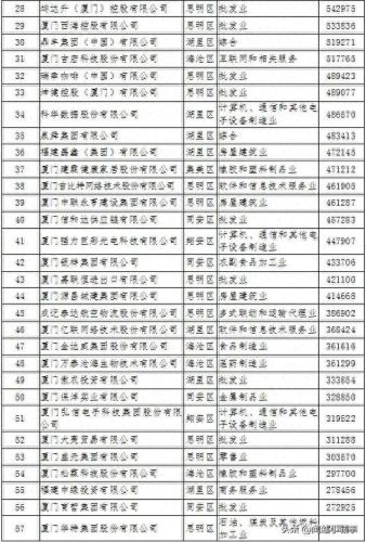 湖里区十大企业排行榜最新(湖里注册企业十大排名)插图1