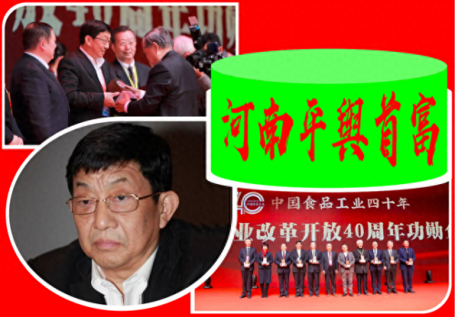 平舆县十大首富排行榜名单(平舆首富武飞媳妇)插图