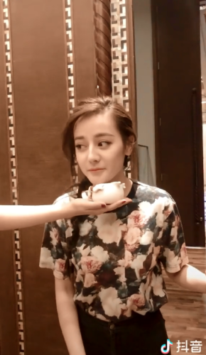 抖音十大短视频作品排行榜(抖音10个最火的短视频)插图 抖音十大短视频作品排行榜(抖音10个最火的短视频)插图