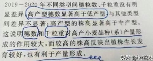 全国小麦十大排行榜(全国哪里的小麦最好)插图2