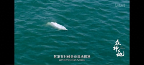 十大排行榜科教类节目(科教频道记忆力节目)插图6
