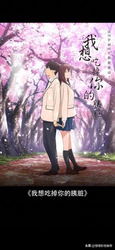 央视十大优秀动画片排行榜(央视打造的6部动画片)插图7