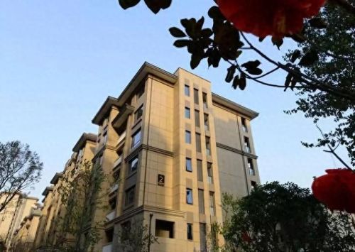 非洲十大商品房排行榜图片(亚洲最高商品房)插图14