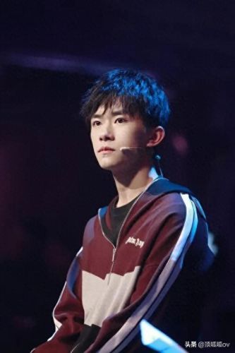 中国的十大明星排行榜(中国最全回族明星名单)插图20