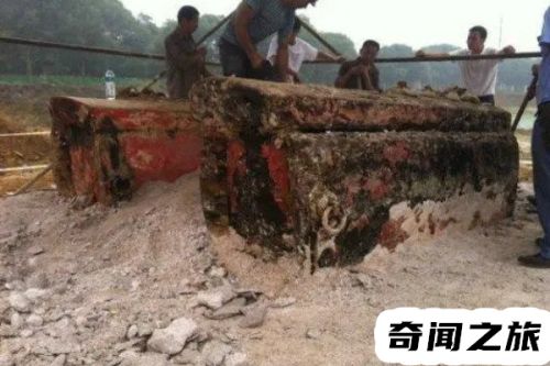 家里找不到东西莫名被咬(海口一家30多人被排蜂咬身亡)插图1
