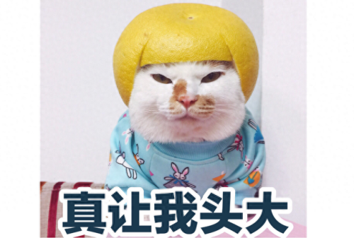 花田果酒十大排行榜图片(花田果酒到底怎么样)插图