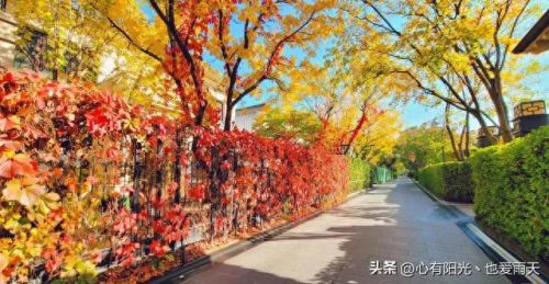 北京市十大独栋别墅排行榜(谷爱凌北京别墅)插图80