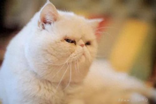 潍坊十大笑话排行榜大全(十大顶级长篇笑话)插图5