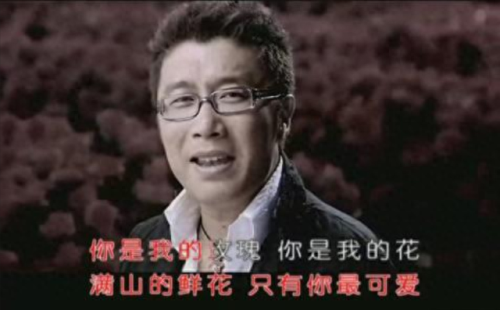 中国十大不红歌手排行榜(中国十大歌手年度排名)插图33