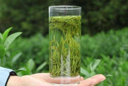金骏眉十大排行榜(十大品牌金骏眉茶排名)插图11