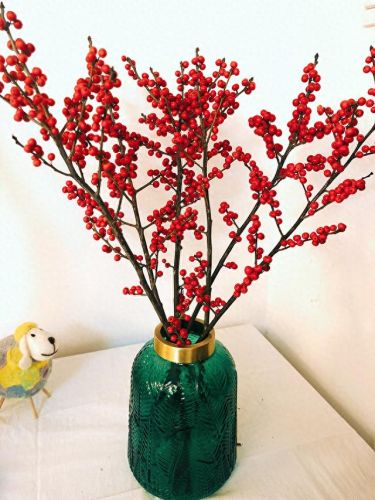 十大名贵花卉排行榜图片大全(十大稀有花卉排名)插图26