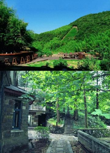 莫干山景点十大排行榜(莫干山必去八个景点)插图4