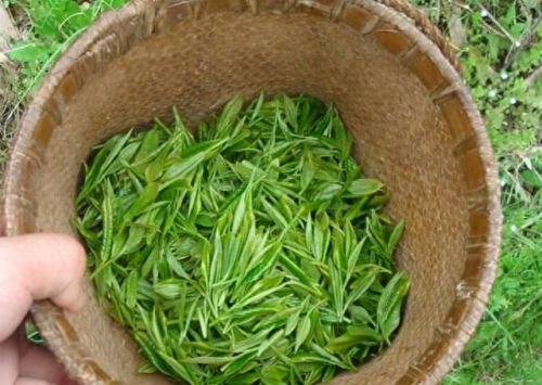 金骏眉十大排行榜(十大品牌金骏眉茶排名)插图7